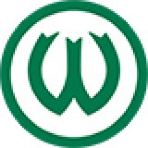 Warta Poznań